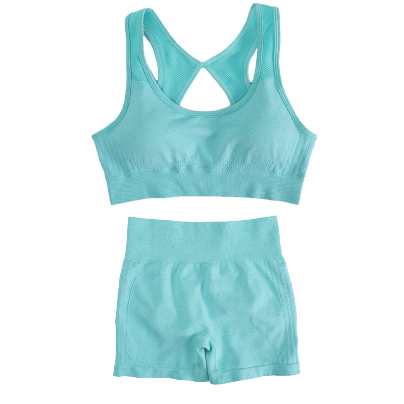 Yoga & Fitness With Denise - Women's Sports Fitness Yoga Suit Set
